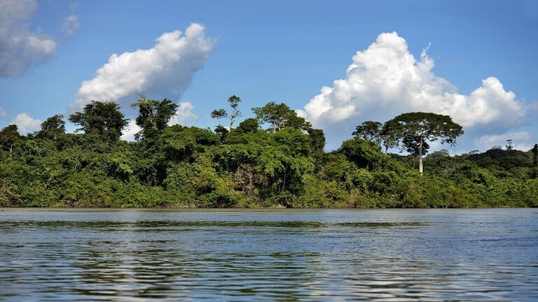 اكتشاف ظاهرة محيرة في غابات الأمازون